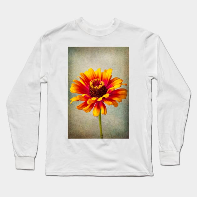 Lovely Textured Zinnia Long Sleeve T-Shirt by photogarry